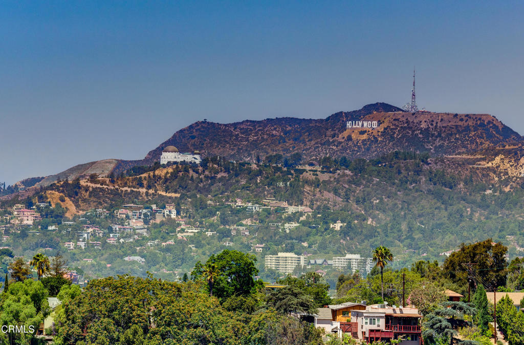 MLS #P1-24597 image #22