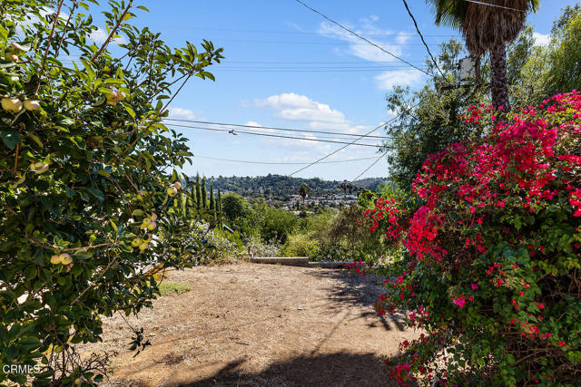 MLS #P1-24604 image #20