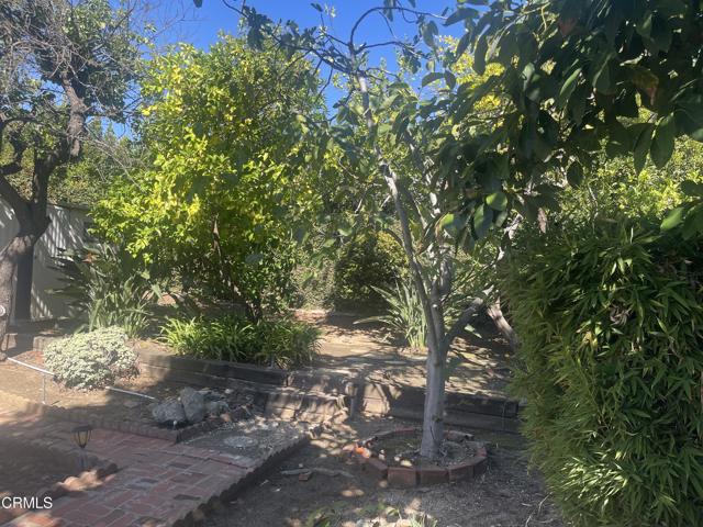 MLS #P1-24612 image #14