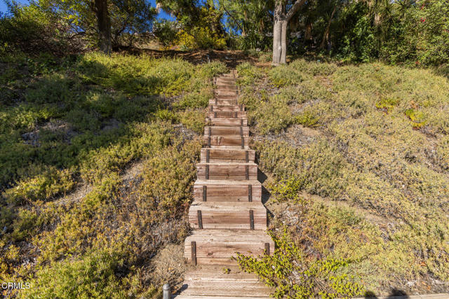 MLS #P1-24623 image #28