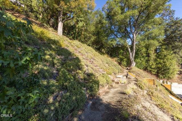 MLS #P1-24623 image #29