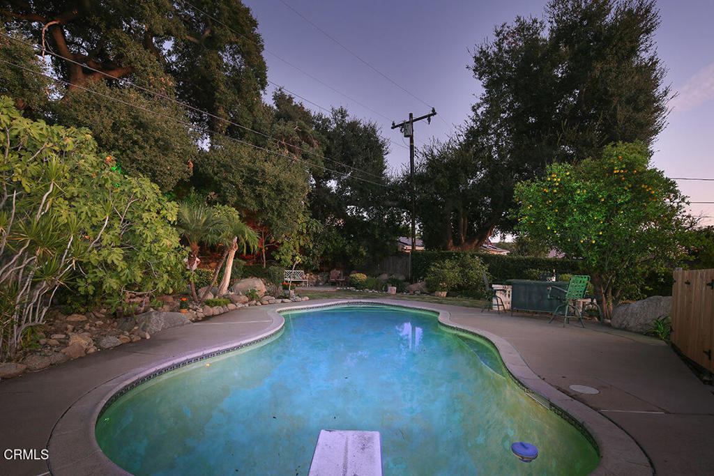 MLS #P1-24629 image #39