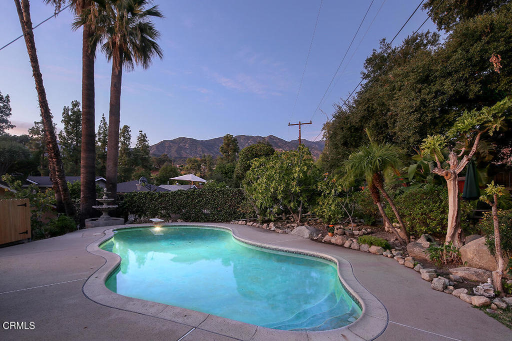 MLS #P1-24629 image #46