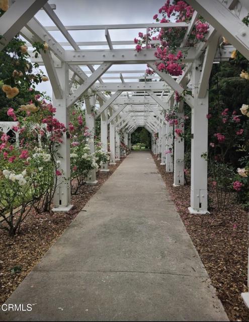 MLS #P1-24642 image #29