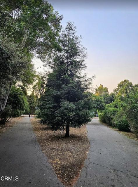 MLS #P1-24642 image #32