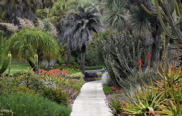 MLS #P1-24642 image #35