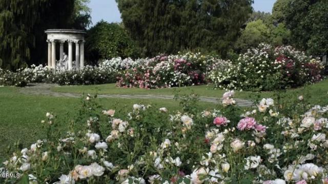 MLS #P1-24642 image #36