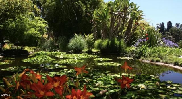 MLS #P1-24642 image #37