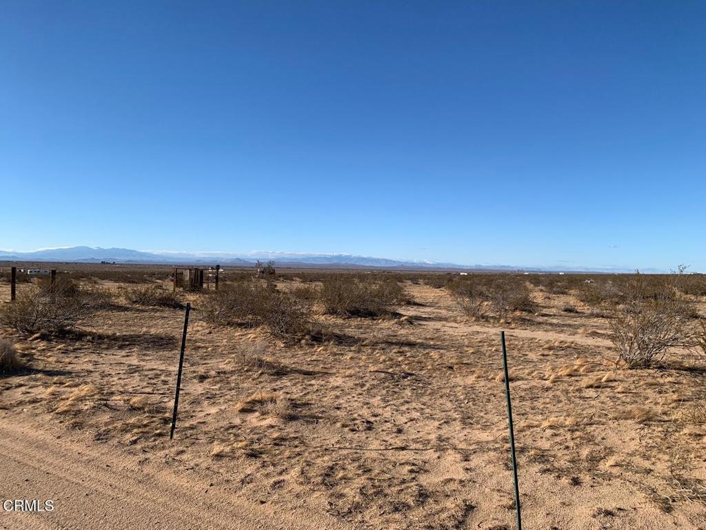 MLS #P1-24649 image #2