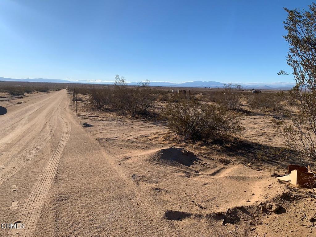 MLS #P1-24649 image #3