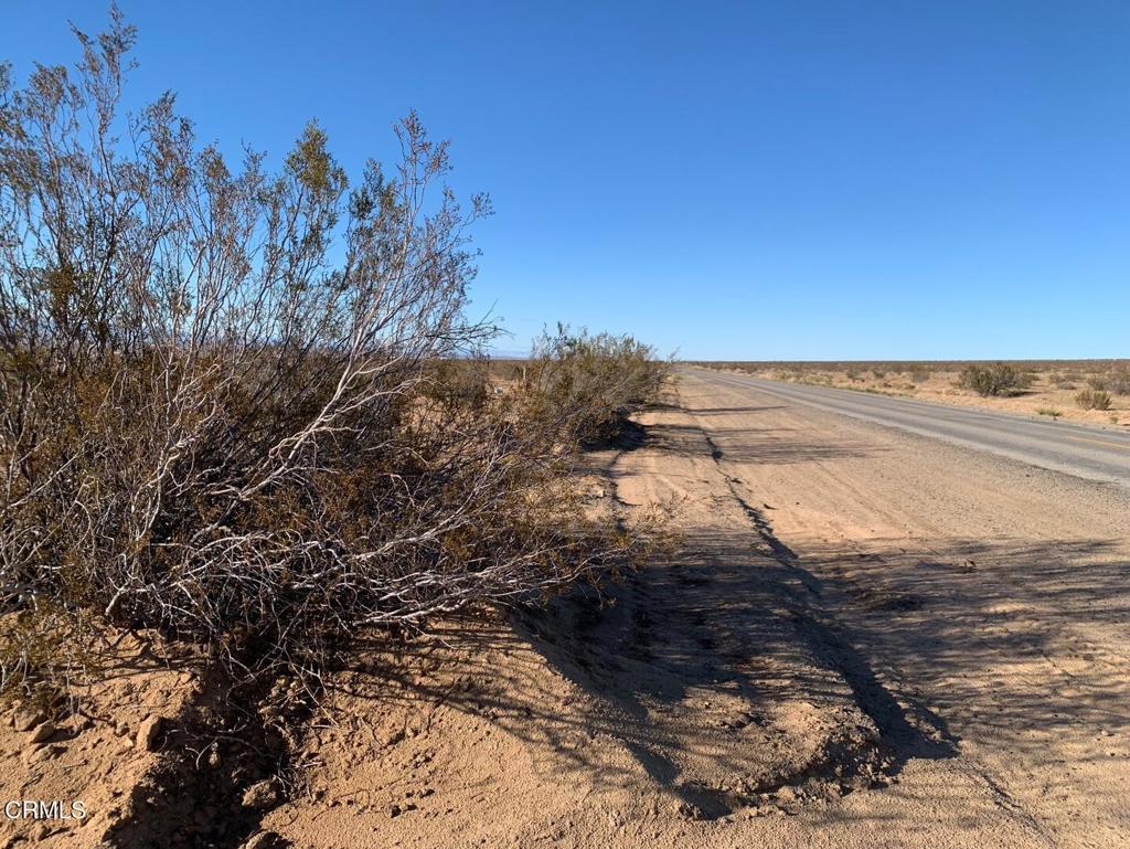 MLS #P1-24649 image #4