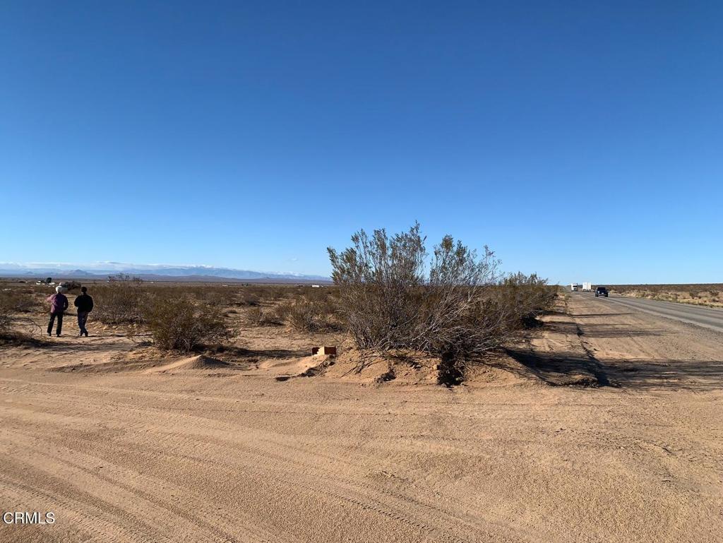 MLS #P1-24649 image #5