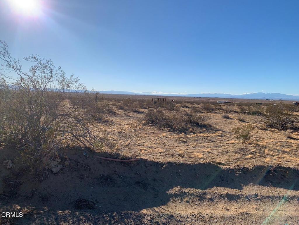 MLS #P1-24649 image #6