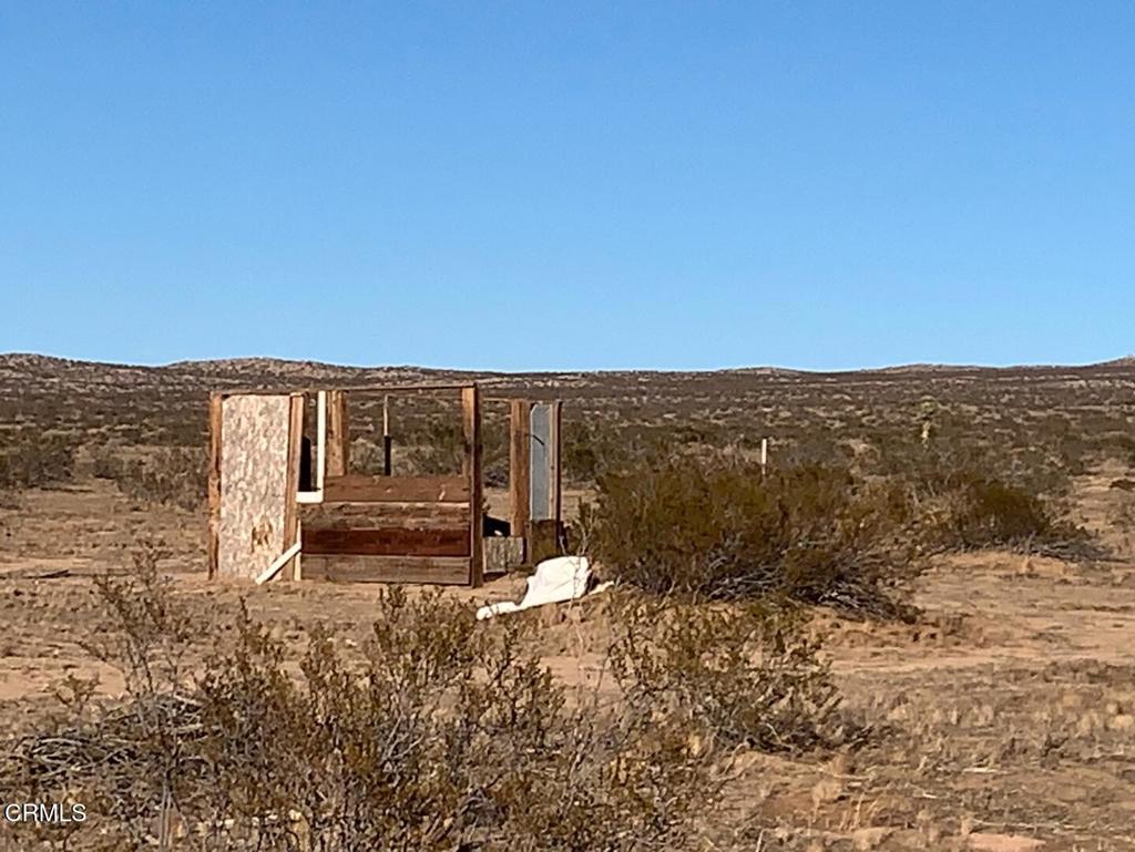 MLS #P1-24649 image #7