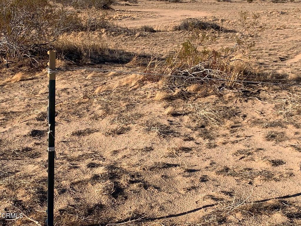 MLS #P1-24649 image #8