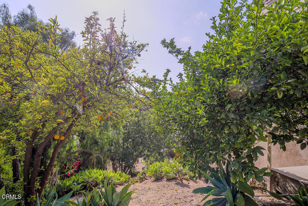 MLS #P1-24679 image #21