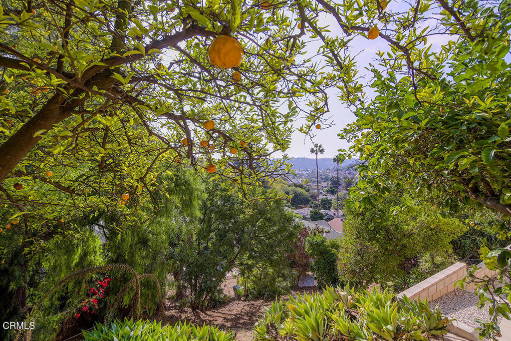 MLS #P1-24679 image #22