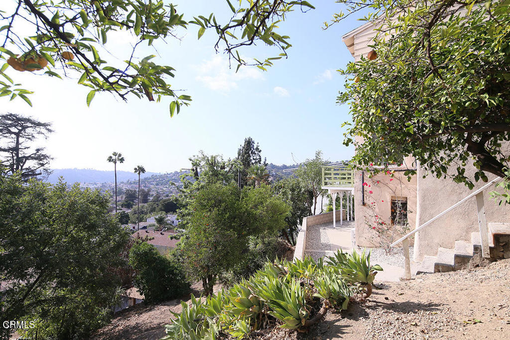 MLS #P1-24679 image #23