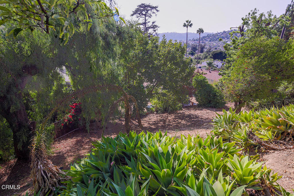 MLS #P1-24679 image #24