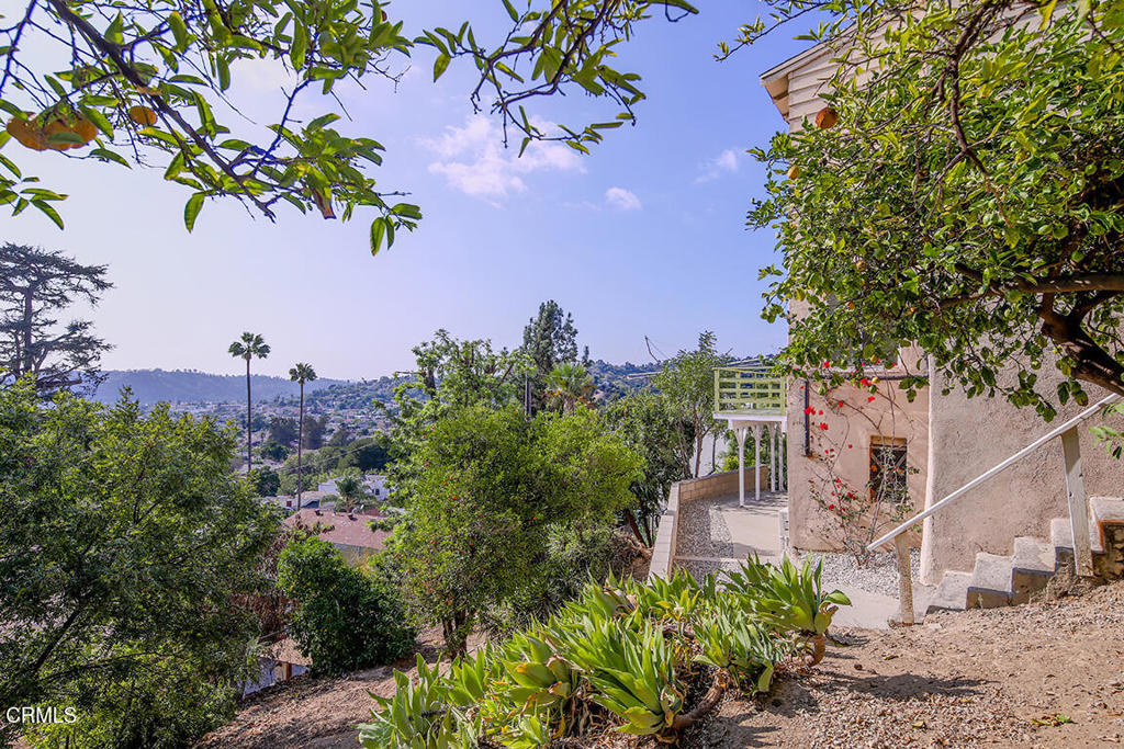 MLS #P1-24679 image #25