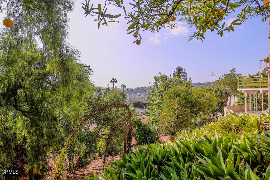 MLS #P1-24679 image #26