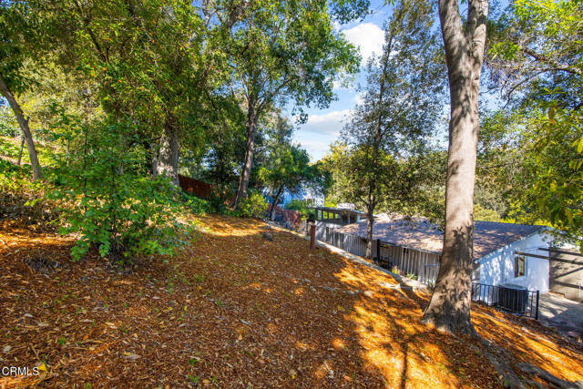 MLS #P1-24695 image #39