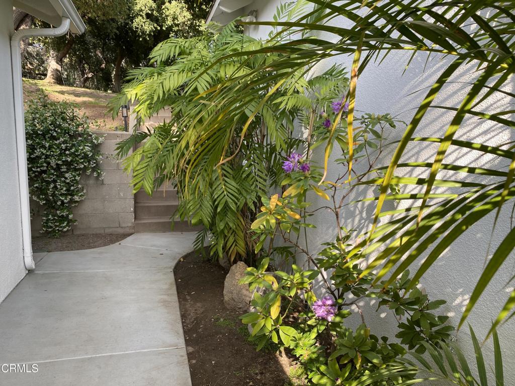 MLS #P1-24708 image #27