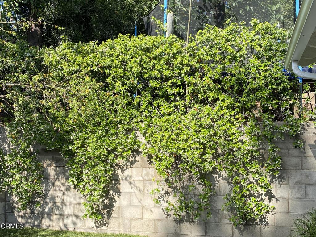 MLS #P1-24708 image #28