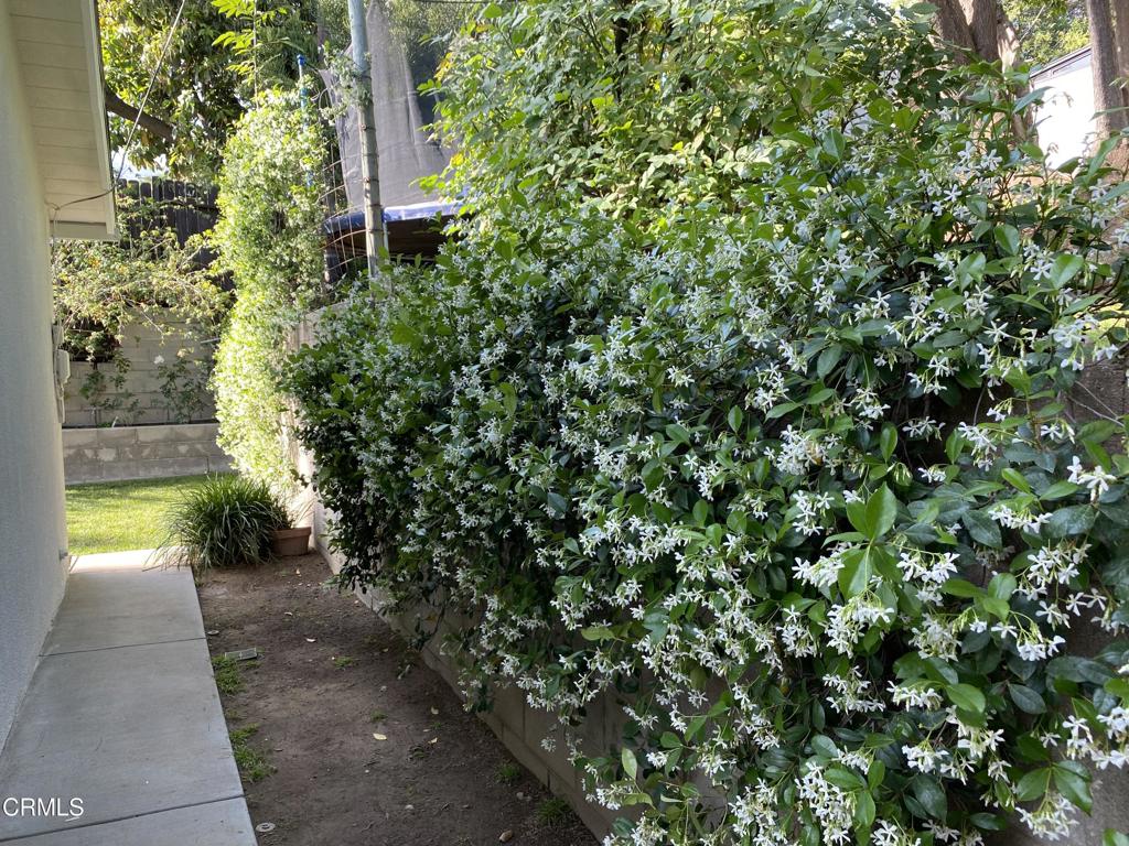 MLS #P1-24708 image #40