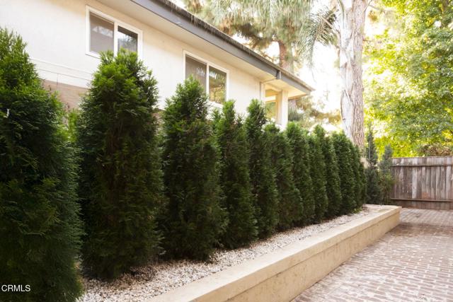 MLS #P1-24737 image #24