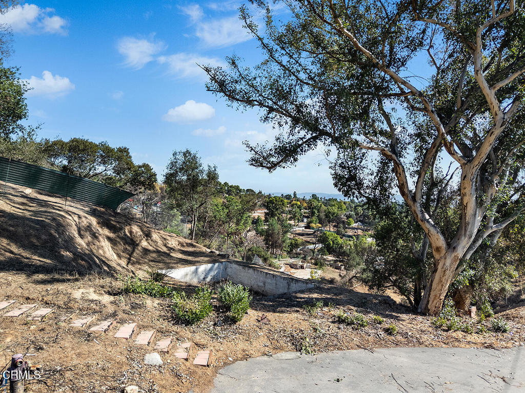 MLS #P1-24746 image #11