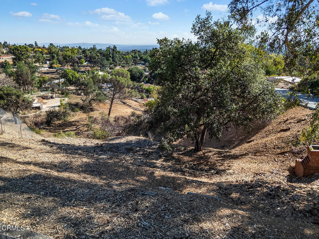 MLS #P1-24746 image #12