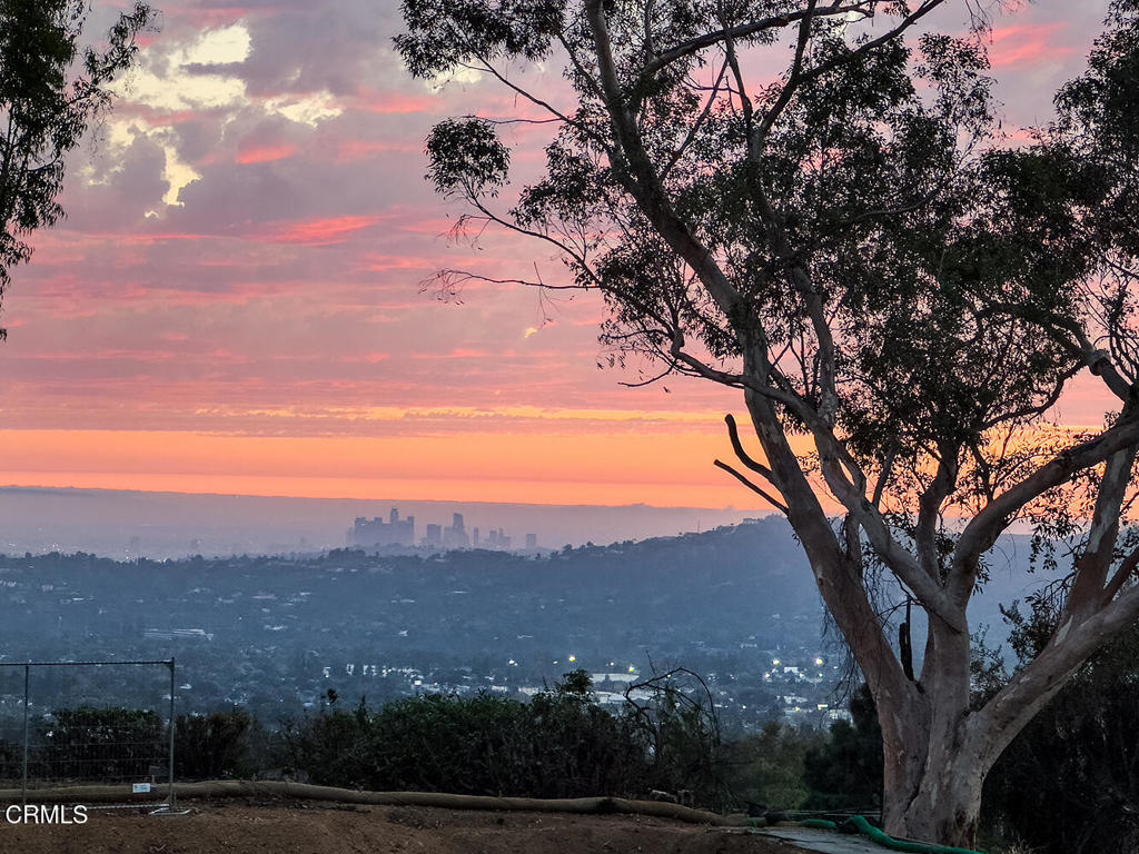 MLS #P1-24746 image #32