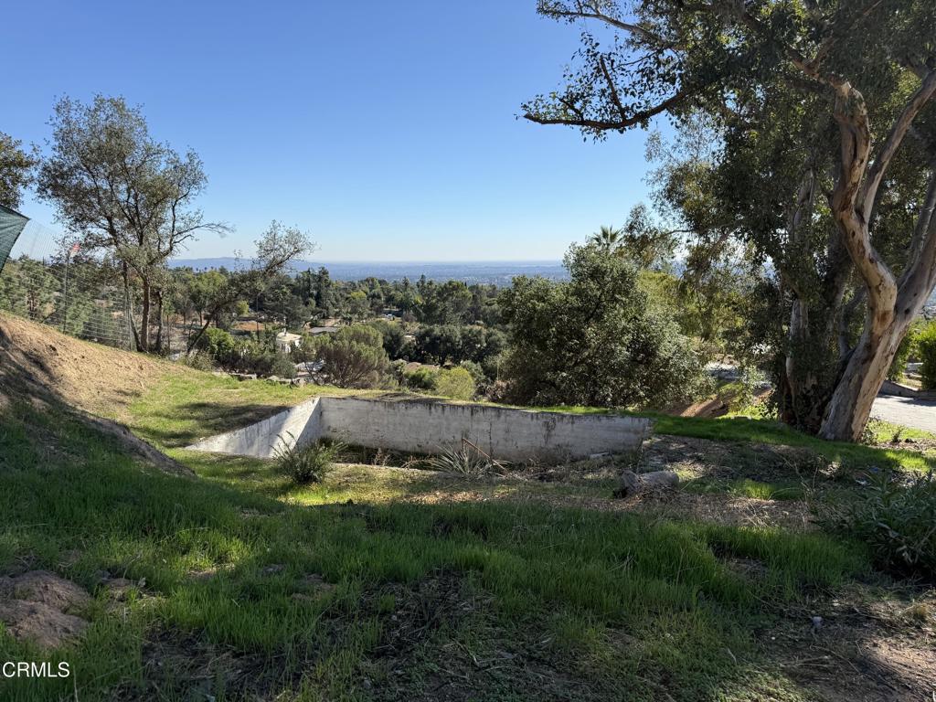 MLS #P1-24746 image #33