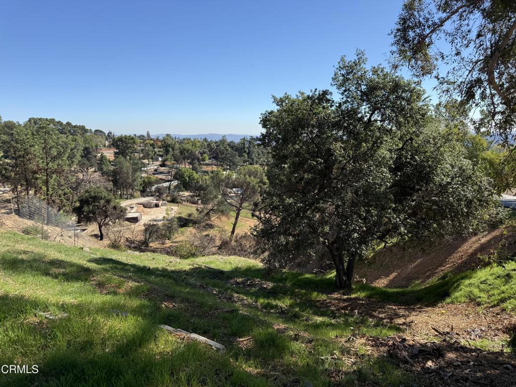 MLS #P1-24746 image #35