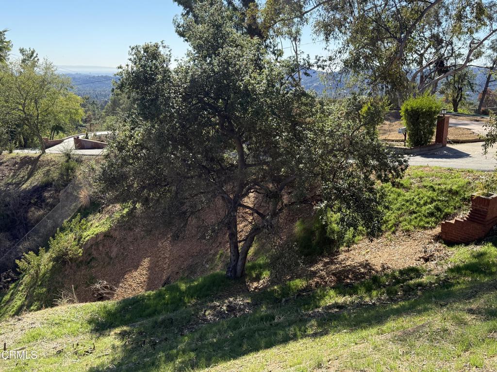 MLS #P1-24746 image #36