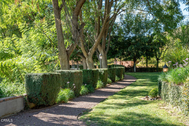 MLS #P1-24747 image #44