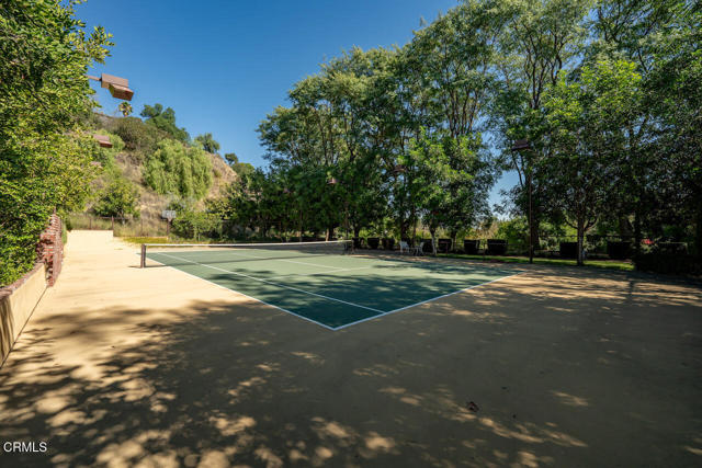 MLS #P1-24747 image #46