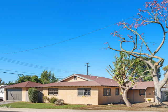 MLS #P1-24760 image #4