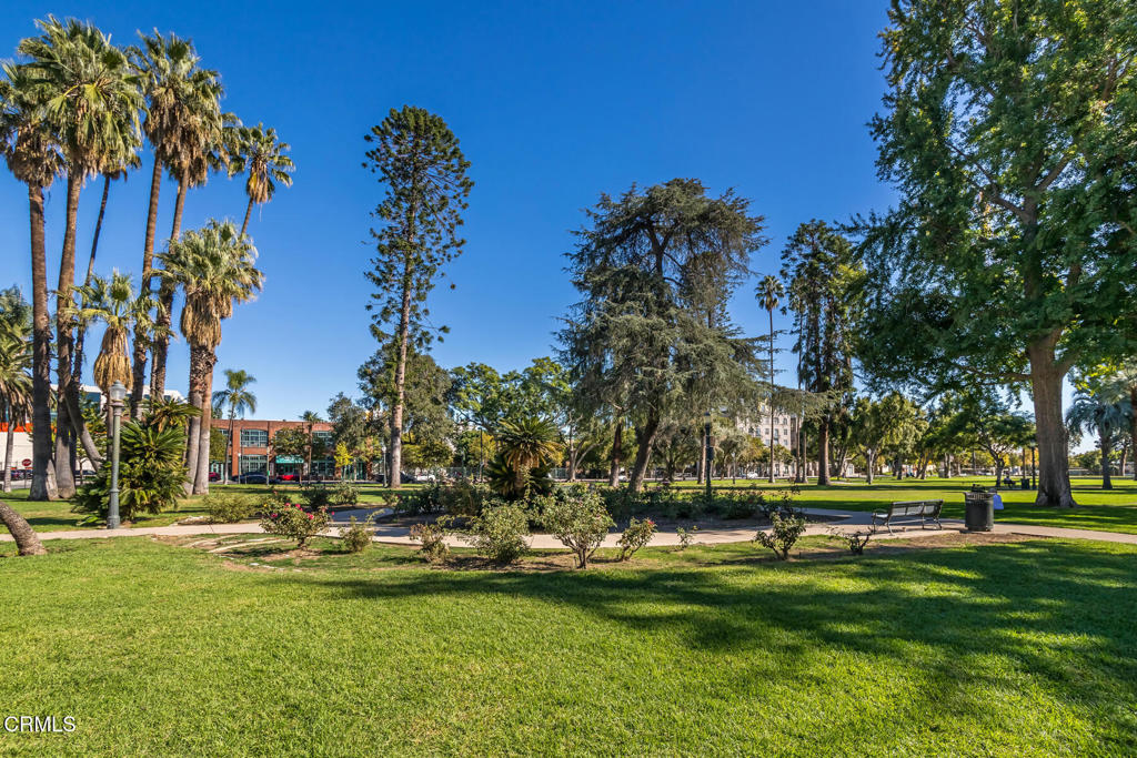 MLS #P1-24773 image #46