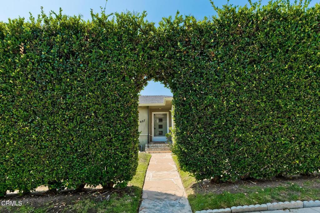 MLS #P1-24774 image #6