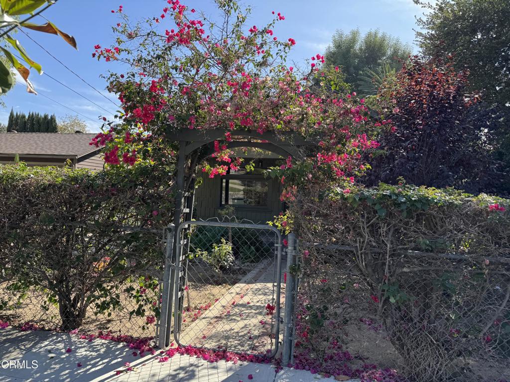 MLS #P1-24775 image #1