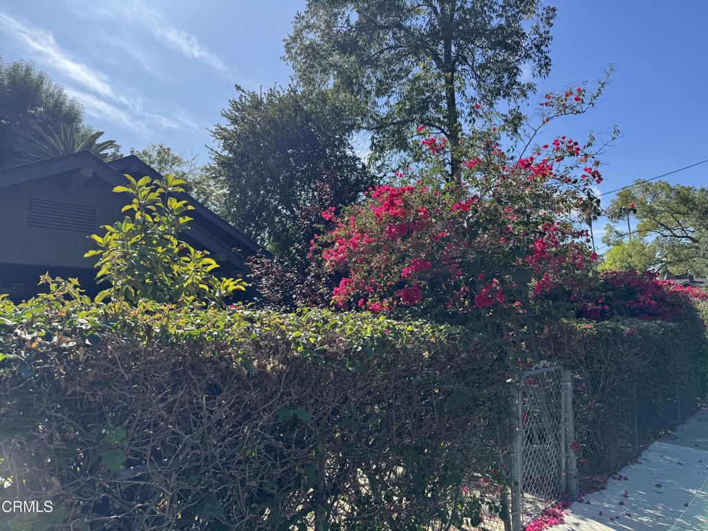 MLS #P1-24775 image #2