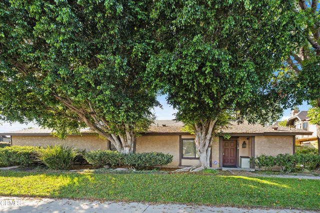 MLS #P1-24816 image #26