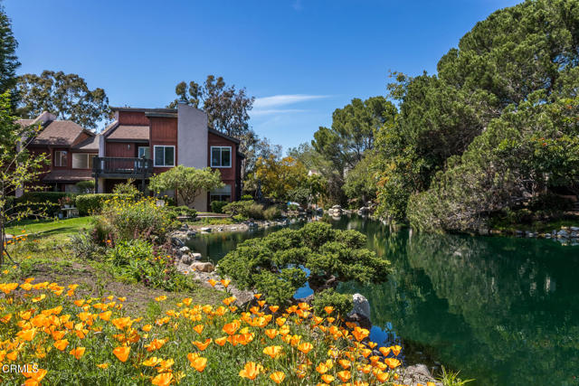 MLS #P1-24817 image #39