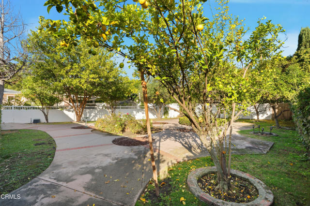 MLS #P1-24830 image #51