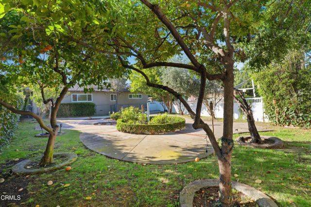 MLS #P1-24830 image #52