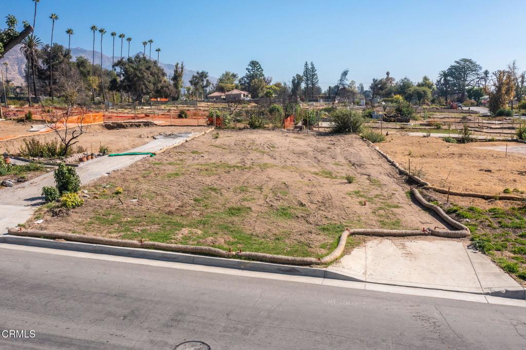 MLS #P1-24837 image #3