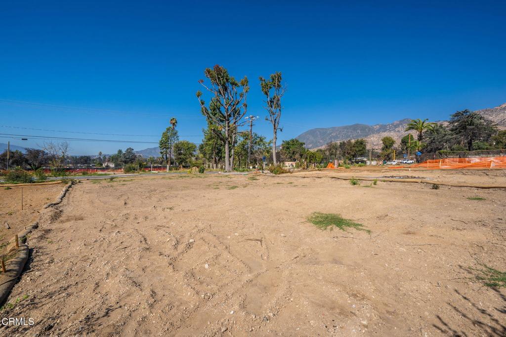 MLS #P1-24837 image #5