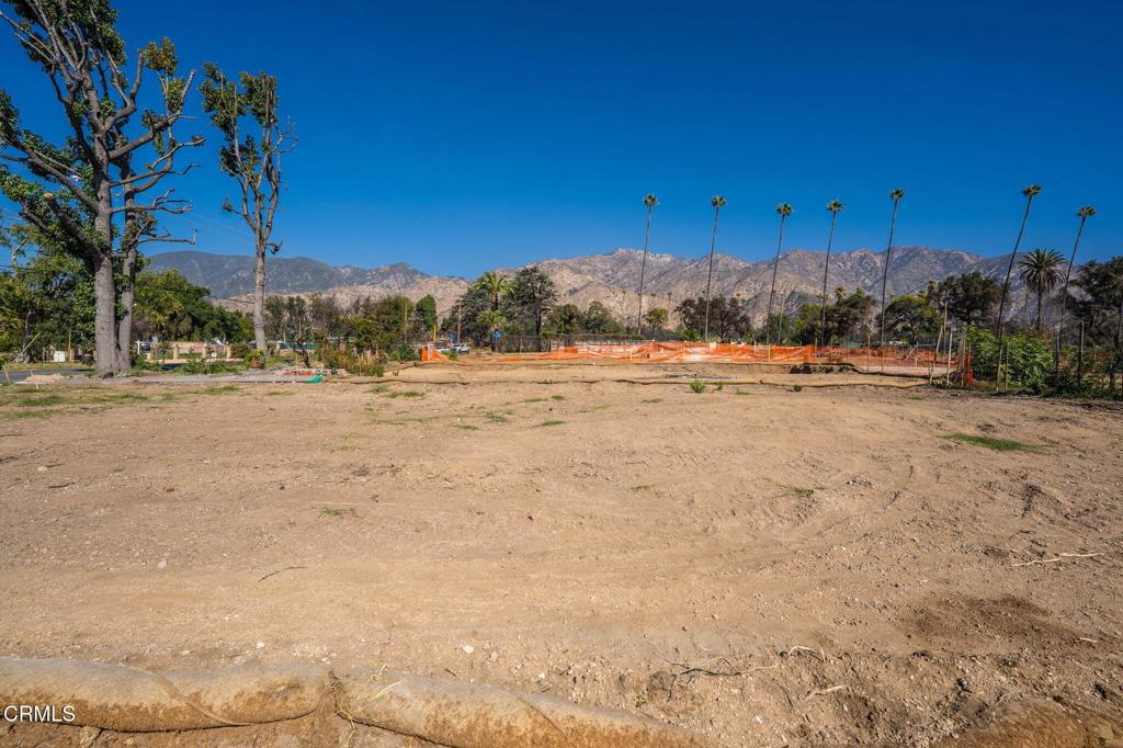 MLS #P1-24837 image #6